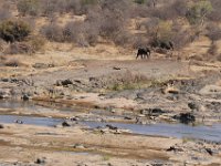 Marion, Romane South Africa 2014 (42 of 63) : KNP Olifants area, Marion visit